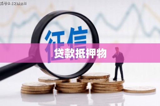 保康贷款抵押物