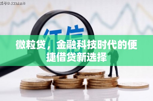 保康微粒贷，金融科技时代的便捷借贷新选择