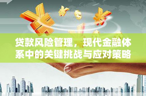 保康贷款风险管理，现代金融体系中的关键挑战与应对策略