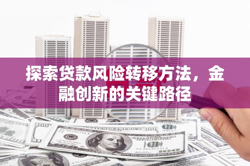 保康探索贷款风险转移方法，金融创新的关键路径