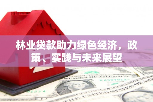 保康林业贷款助力绿色经济，政策、实践与未来展望