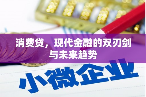 保康消费贷，现代金融的双刃剑与未来趋势