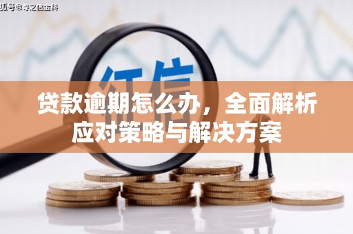 保康贷款逾期怎么办，全面解析应对策略与解决方案