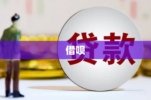 保康借呗
