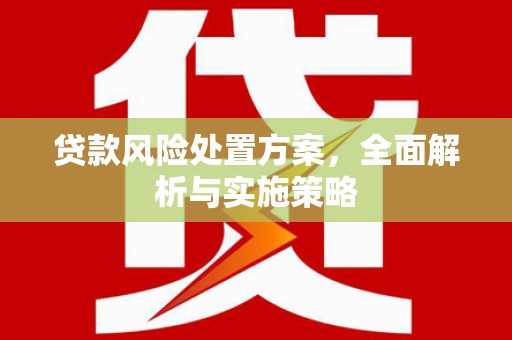 保康贷款风险处置方案，全面解析与实施策略