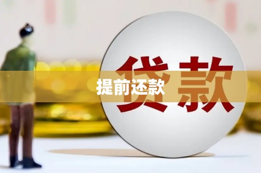 保康提前还款