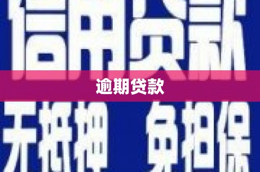 保康逾期贷款